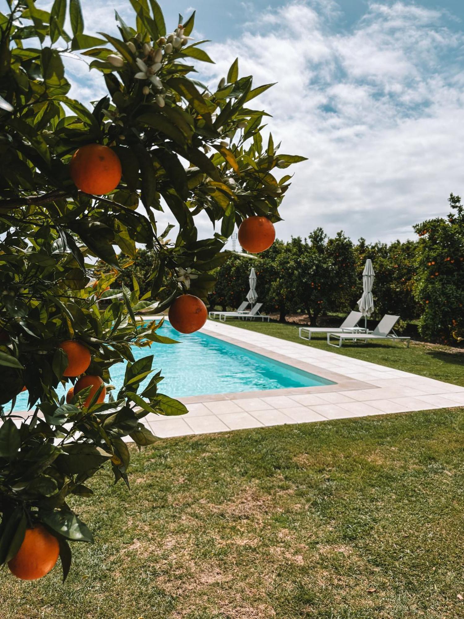Quinta Dos Perfumes Villa Tavira Buitenkant foto